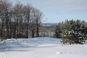 View over Caledon Hills and Belfountain - Country homes for sale and luxury real estate including horse farms and property in the Caledon and King City areas near Toronto